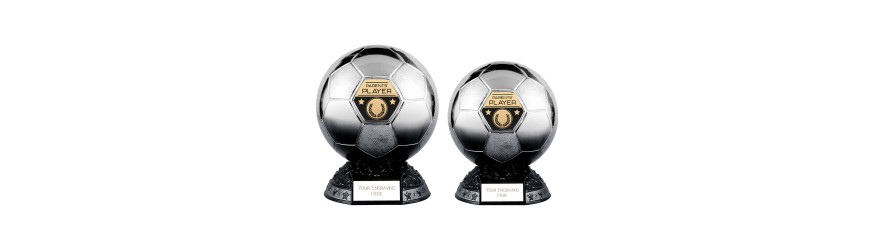 ELITE FOOTBALL RESIN - INDIVIDUAL PLAYER AWARDS - 8 INSERT OPTIONS  - 2 SIZES 18.5CM AND 20CM 